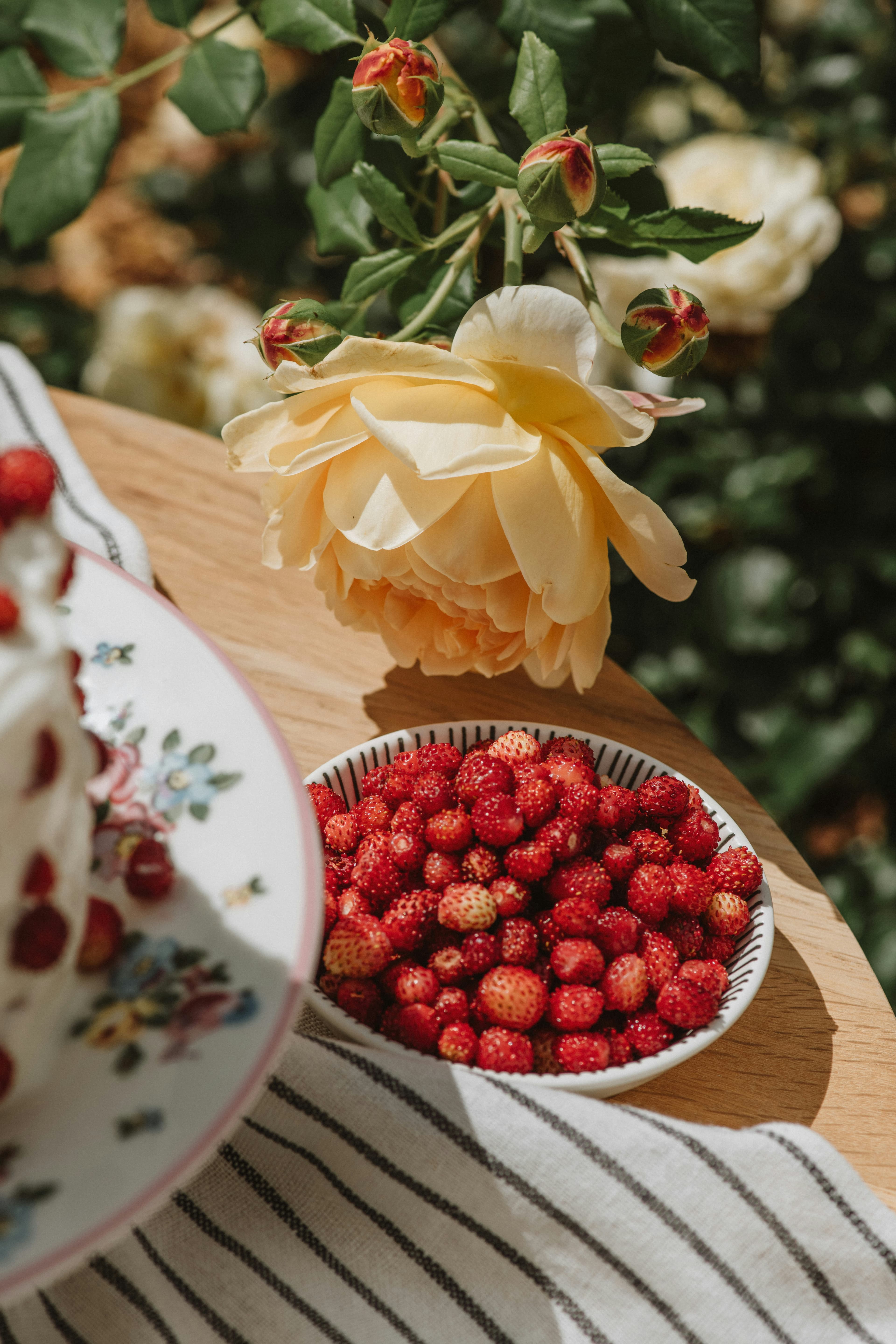 Alpine Strawberry Seeds
