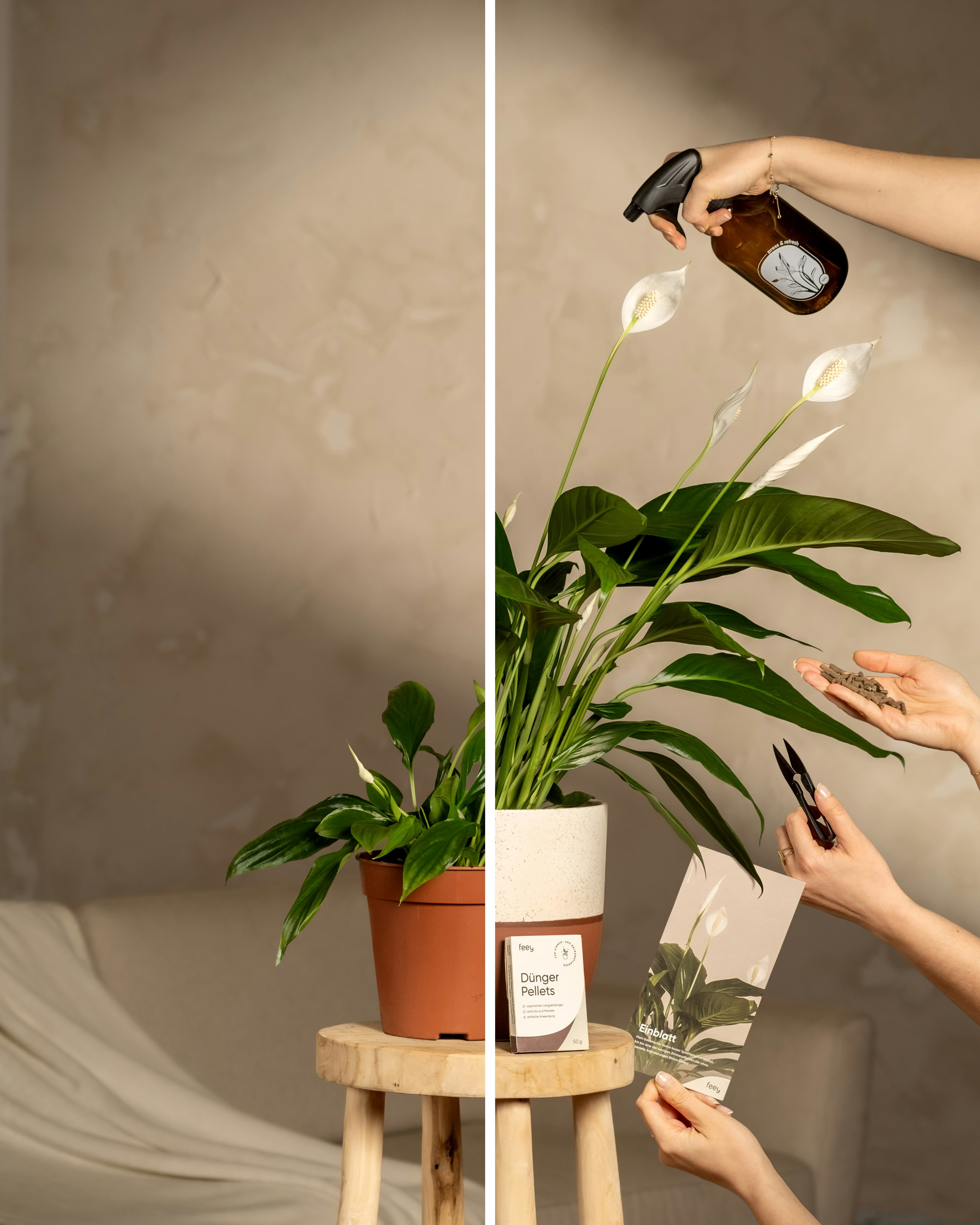 Liquid Indoor Plant Feed