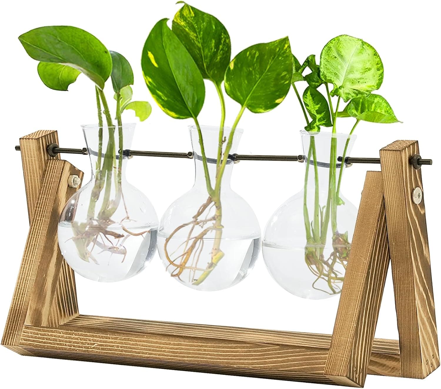 Propagation Station