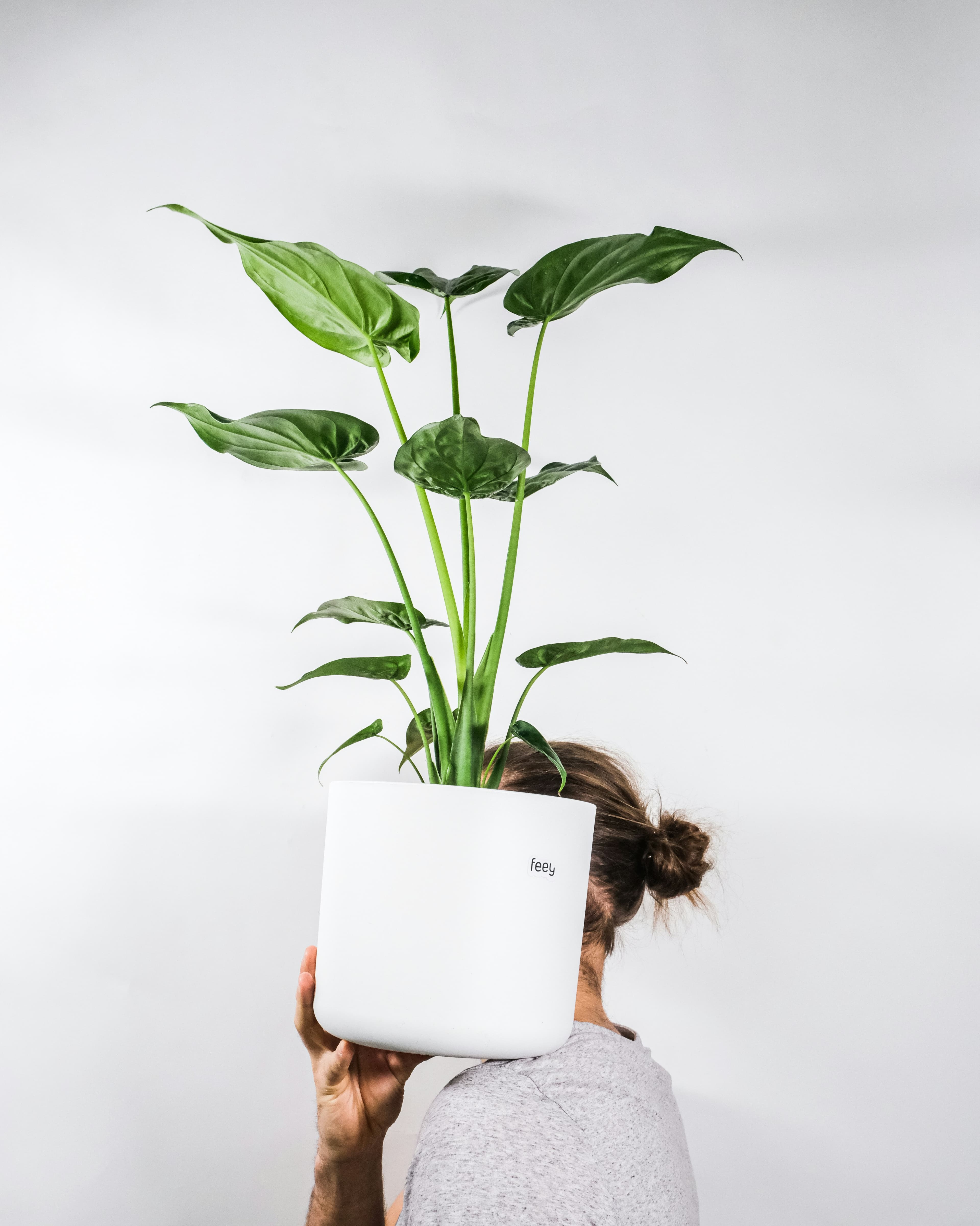 Self-Watering Planter